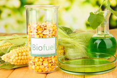 Lisnaskea biofuel availability